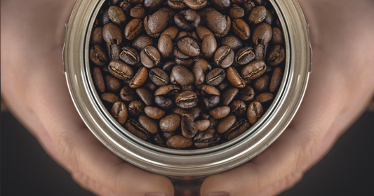 Person Holding a Can of 24Heaven Coffee Beans